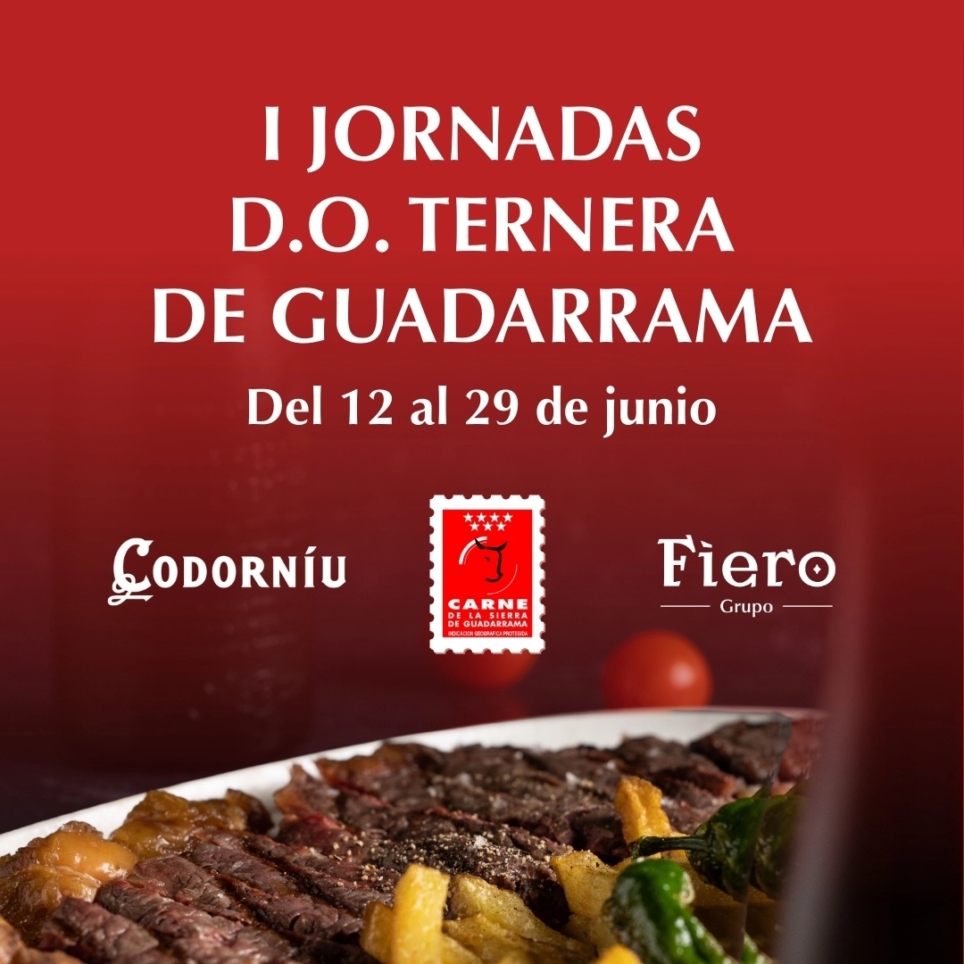 promo general jornadas